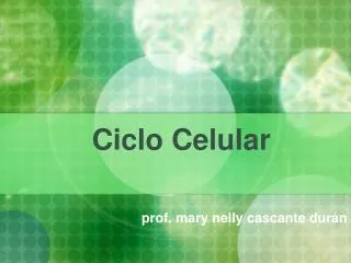 ciclo celular