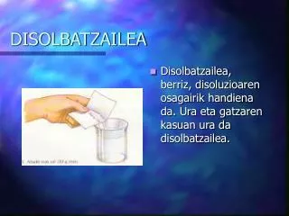 disolbatzailea
