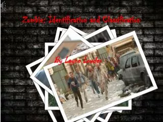 Zombie: Identification and Classification