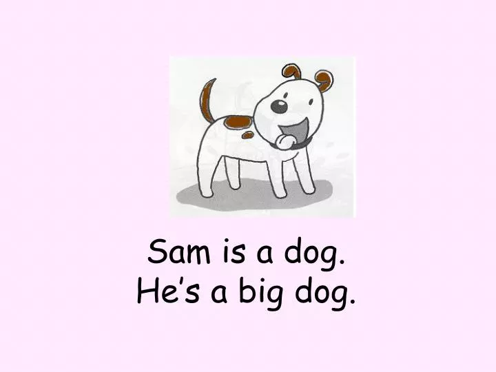 sam is a dog he s a big dog