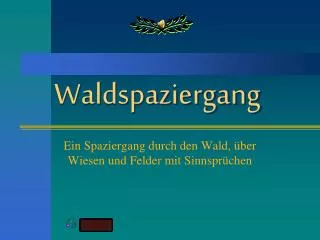 waldspaziergang