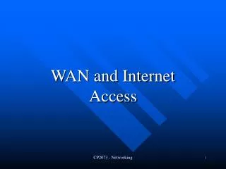 WAN and Internet Access