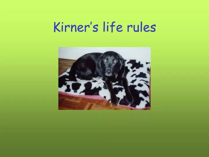 kirner s life rules