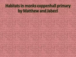 Habitats in monks coppenhall primary by Matthew and Jabez !