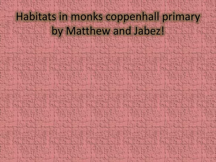 habitats in monks coppenhall primary by matthew and jabez