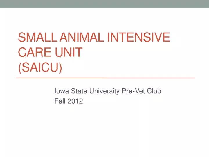 small animal intensive care unit saicu
