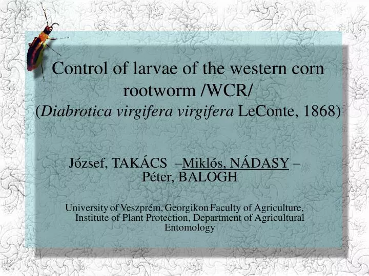 control of larvae of the western corn rootworm wcr diabrotica virgifera virgifera leconte 1868