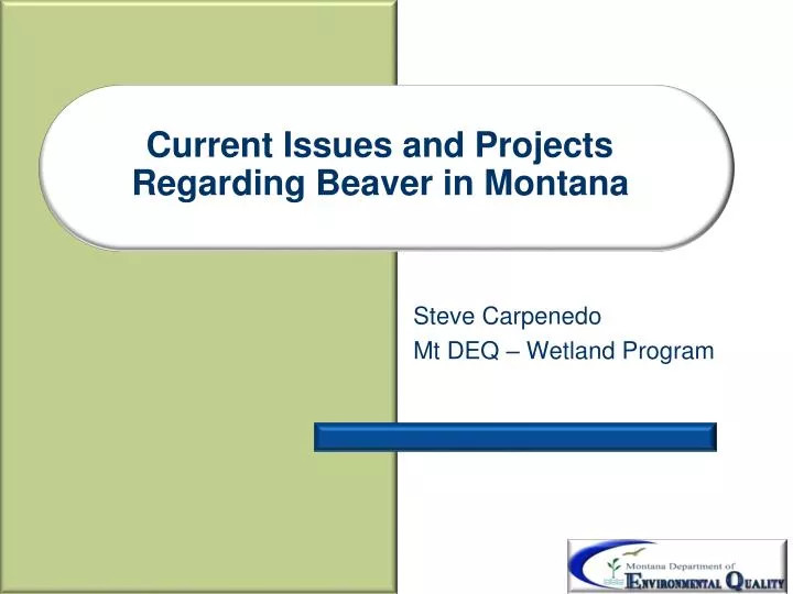 current issues and projects regarding beaver in montana