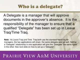 Who is a delegate?