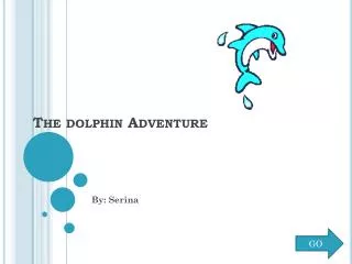 The dolphin Adventure