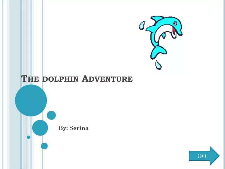 the dolphin adventure