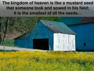 The kingdom of heaven is like a mustard seed that someone took and sowed in his field;