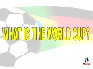 WHAT IS THE WORLD CUP?