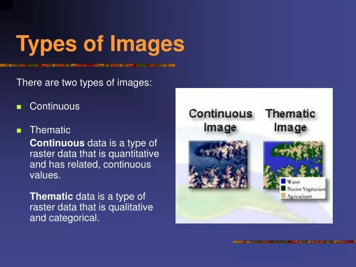 types of images