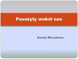 paso yty wok nas