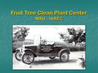 Fruit Tree Clean Plant Center WSU - IAREC