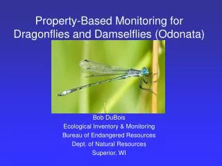 Property-Based Monitoring for Dragonflies and Damselflies (Odonata)