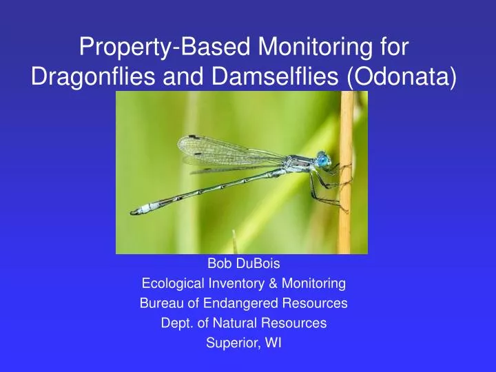 property based monitoring for dragonflies and damselflies odonata