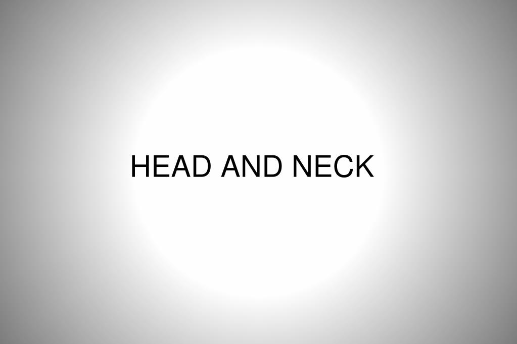 PPT - HEAD AND NECK PowerPoint Presentation, free download - ID:4948328