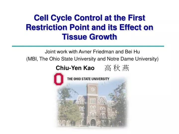 cell cycle control at the first restriction point and its effect on tissue growth