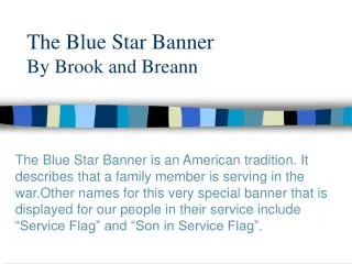 The Blue Star Banner By Brook and Breann