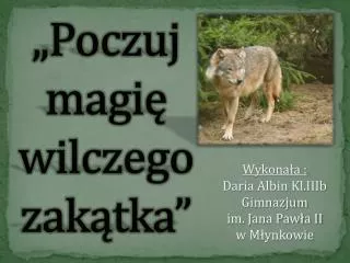 poczuj magi wilczego zak tka