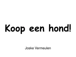 koop een hond