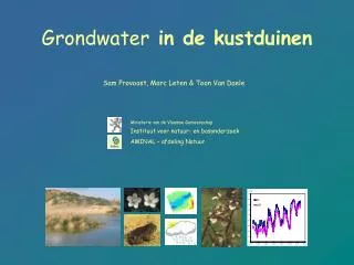 grondwater in de kustduinen