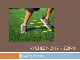 rychl nohy eb k