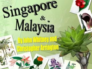 Singapore