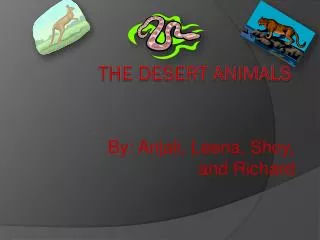 The Desert Animals