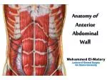 Anatomy of Anterior Abdominal Wall