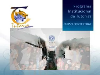 programa institucional de tutor as