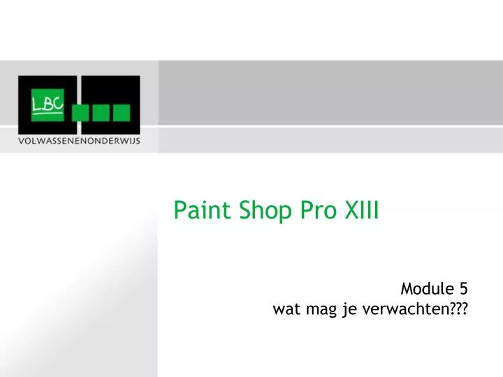 paint shop pro xiii