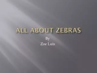 All about Zebras
