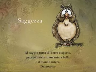 saggezza