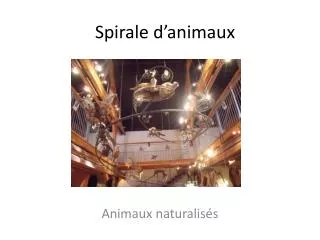 spirale d animaux