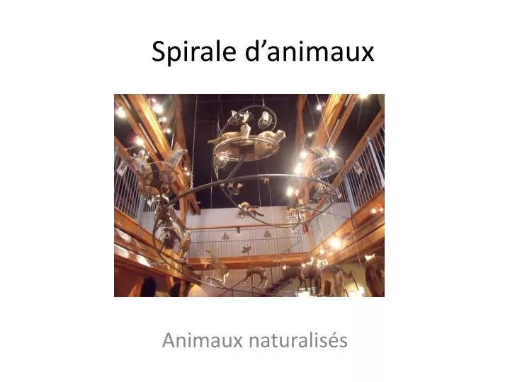 spirale d animaux