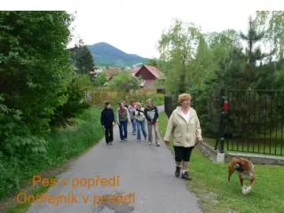 pes v pop ed ond ejn k v pozad