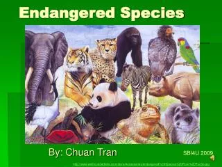 Endangered S p ecies