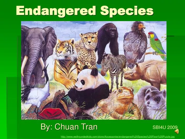 endangered s p ecies