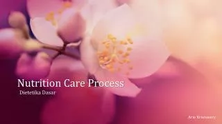 nutrition care process