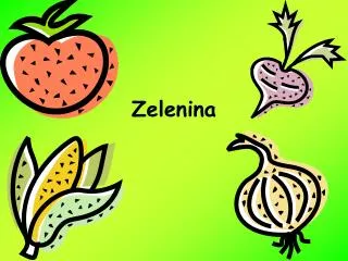zelenina