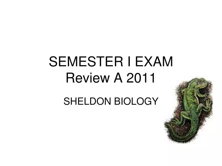 semester i exam review a 2011