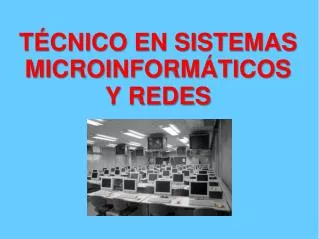 t cnico en sistemas microinform ticos y redes