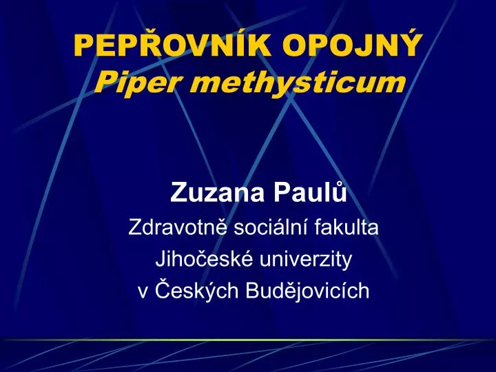 pep ovn k opojn piper methysticum