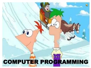 COMPUTER PROGRAMMING
