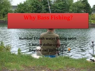 Why Bass Fishing?