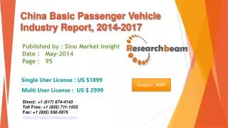 China Basic Passenger Vehicle Market Size, Share 2014-2017