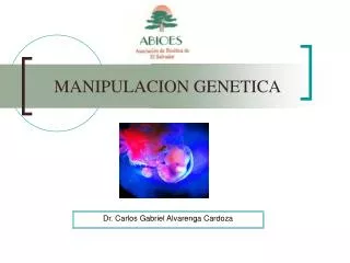 manipulacion genetica